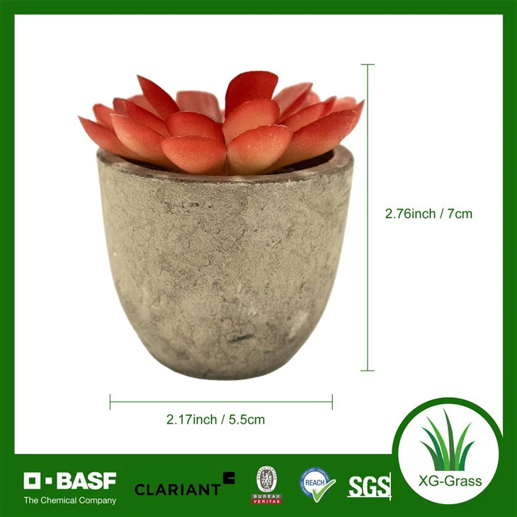 Wholesale Red Artificial Succulent Mini Faux Plants For Home & Office price