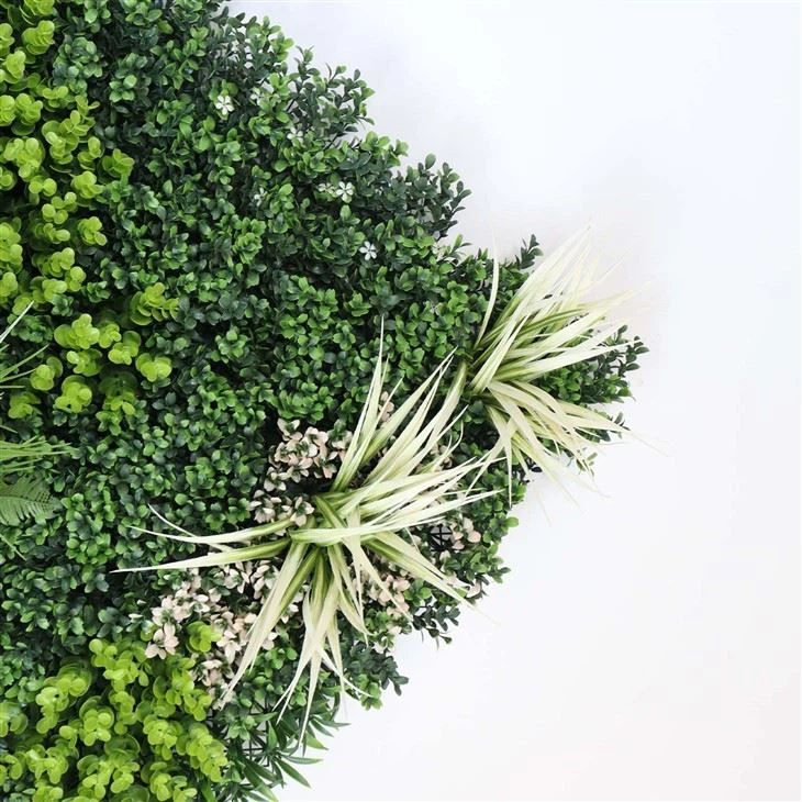 Best Plants For Indoor Plant Wall