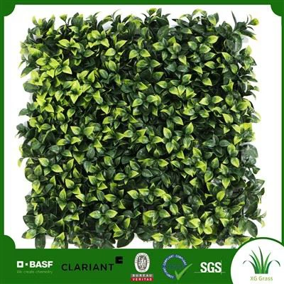 جدار النباتات الداخلية