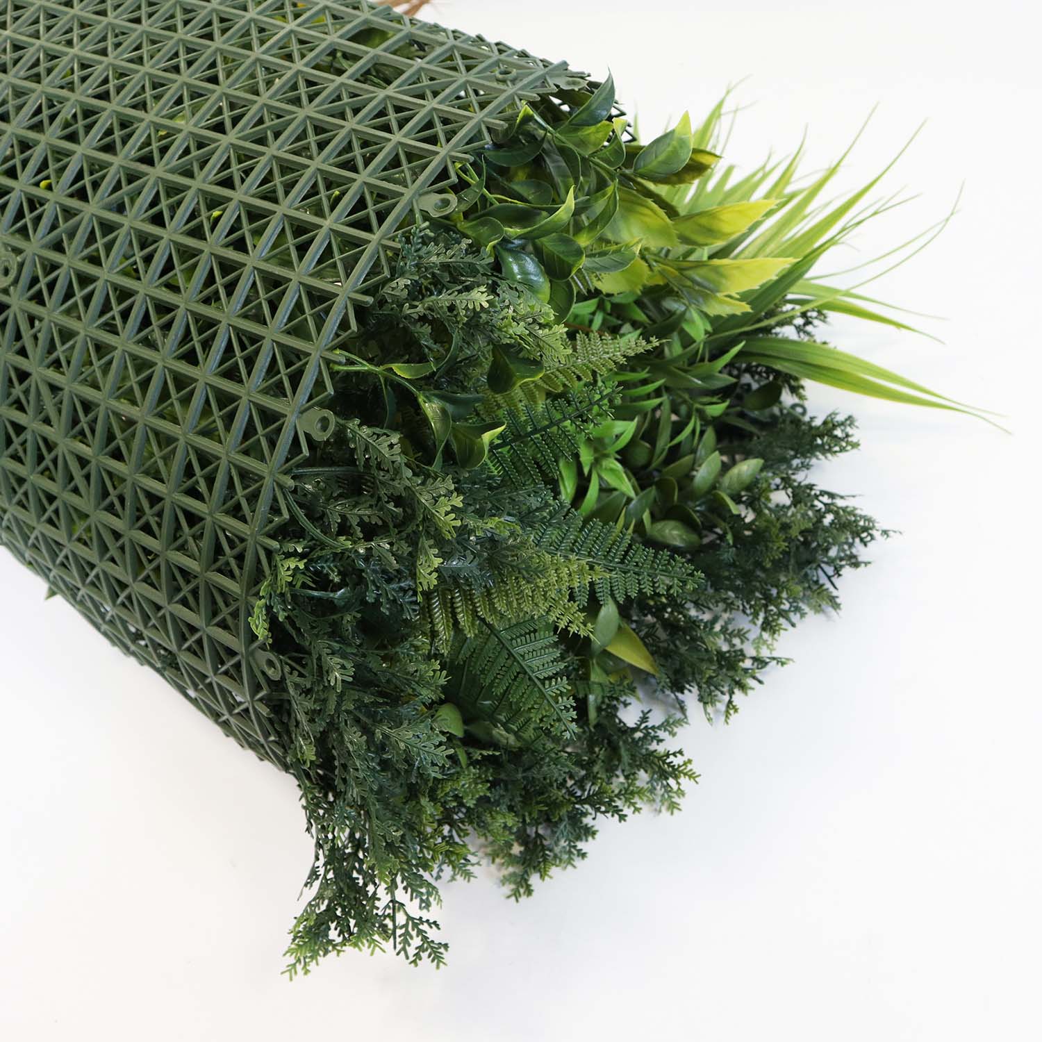 interior green wall interior green wall