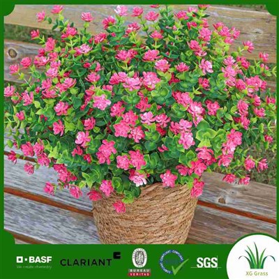 نبات طائر الجنة الاصطناعي