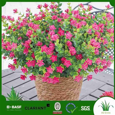 نباتات زائدة اصطناعية