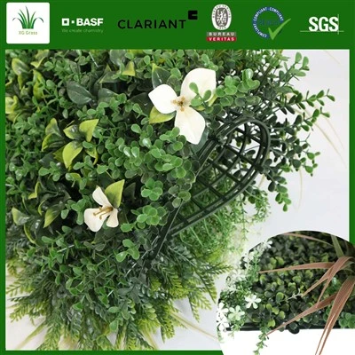 الجدار الأخضر الصديق للبيئة
