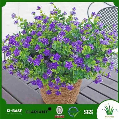 ترتيبات الأوركيد فو