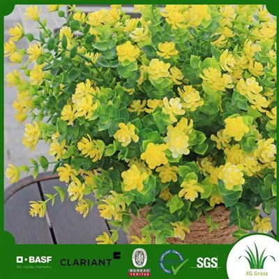 شجرة محفوظة بوعاء فو