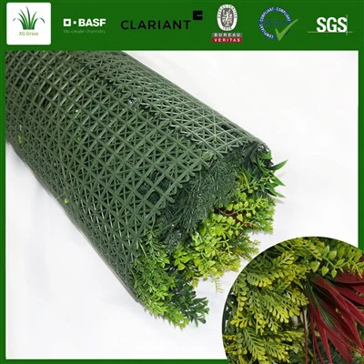 نباتات معلقة على الحائط داخليًا