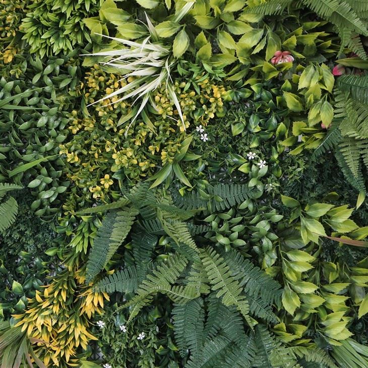 Urban Green Wall