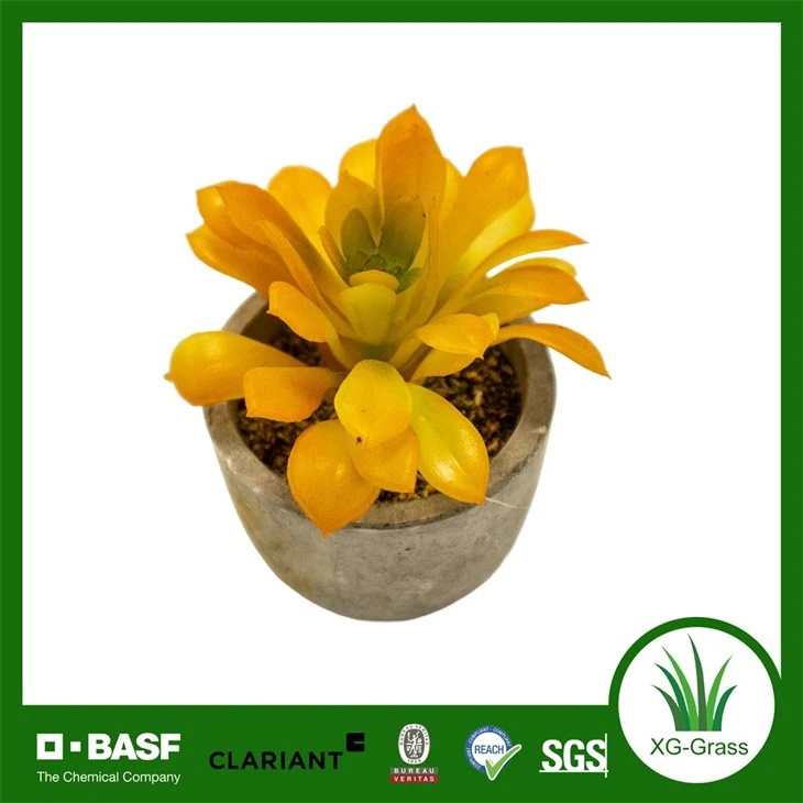 Xingu Vibrant Faux Succulent Arrangements For Modern Home Decor suppliers